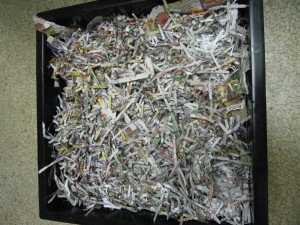 Worm Bin shredded newspaper