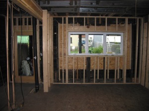 new window full view door and structural beams